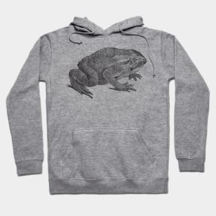 Grumpy Toad Hoodie